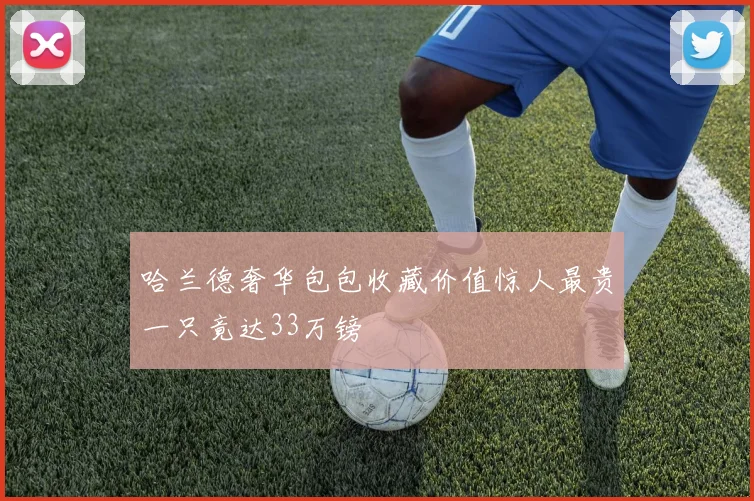 哈兰德奢华包包收藏价值惊人最贵一只竟达33万镑