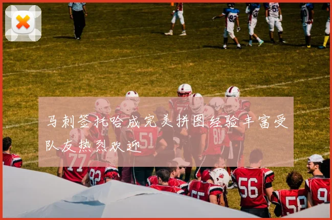 马刺签托哈成完美拼图经验丰富受队友热烈欢迎